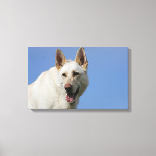 White German Shepherd Canvas Print
