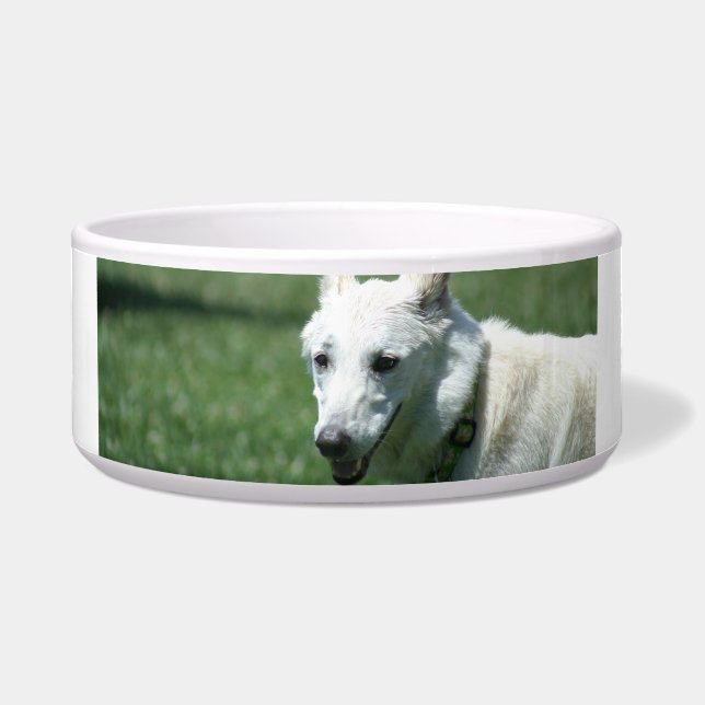 White German shepherd dog bowl (Front)
