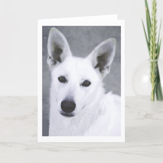 White German Shepherd Dog Card (Front)