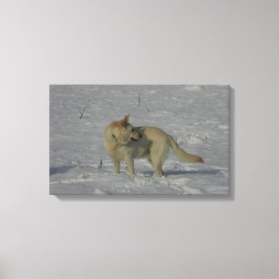 White German Shepherd  in the Snow Canvas Print