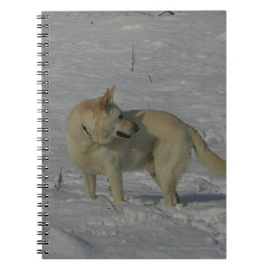 White German Shepherd in the Snow Notebook