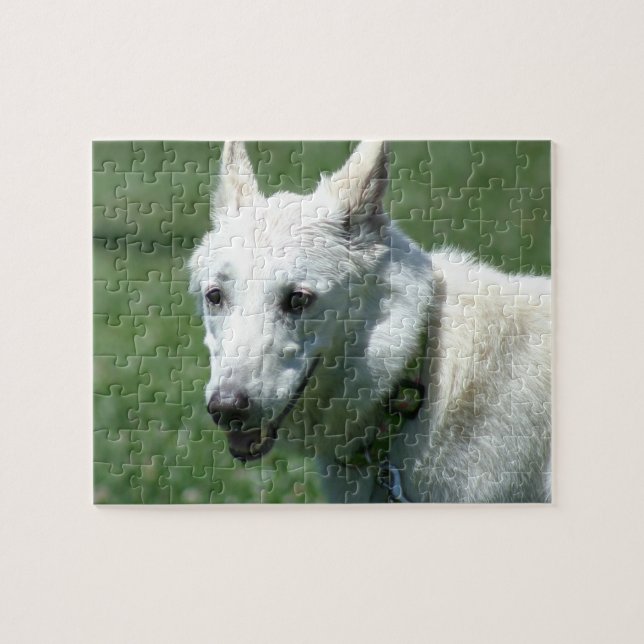 White German shepherd Jigsaw Puzzle (Horizontal)