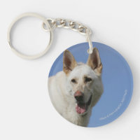 White German Shepherd