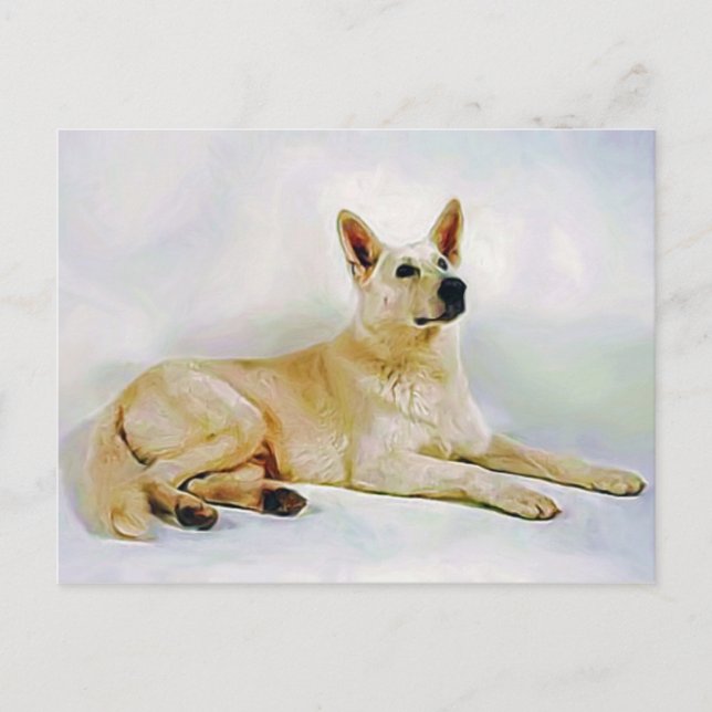 White German Shepherd Postcard (Front)