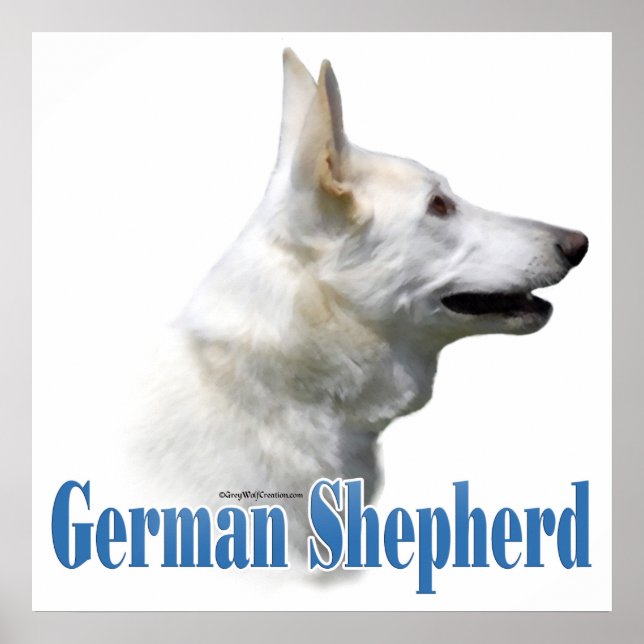 White German Shepherd Poster (Front)