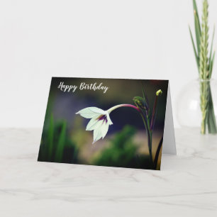 White Gladiolus Garden Flower Happy Birthday Card