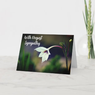 White Gladiolus Garden Flower W/ Deepest Sympathy Card