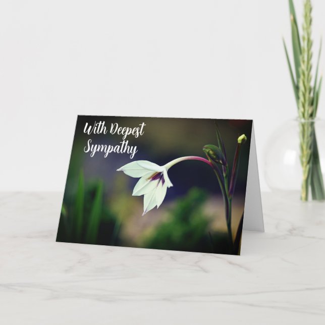 White Gladiolus Garden Flower W/ Deepest Sympathy Card (Front)