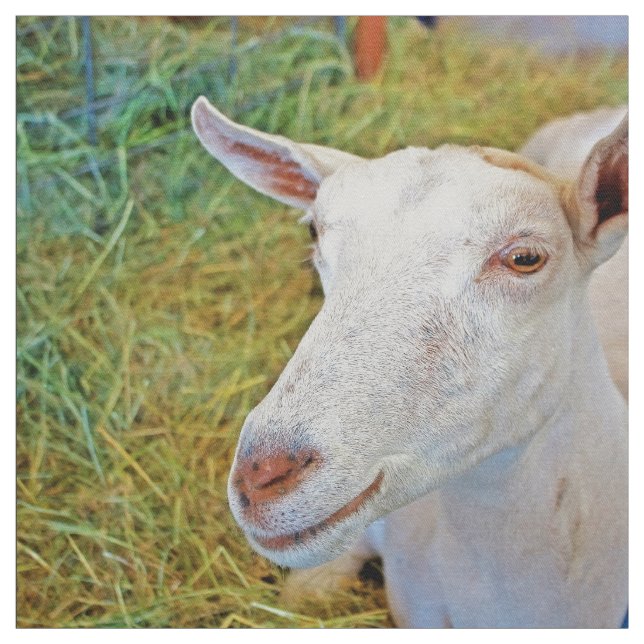 White Goat Fabric (Swatch)