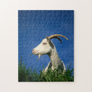 White goat grazing jigsaw puzzle