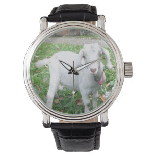 White Goat Watch