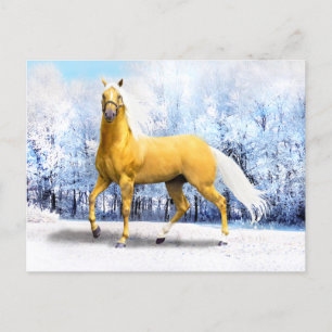 "White & Gold"  Postcard