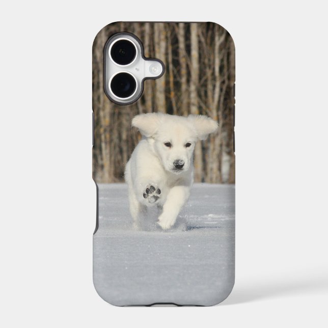 White Golden Retriever Puppy in Snow (Verso)