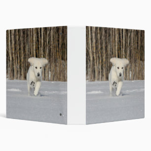 White Golden Retriever Puppy in Snow Binder