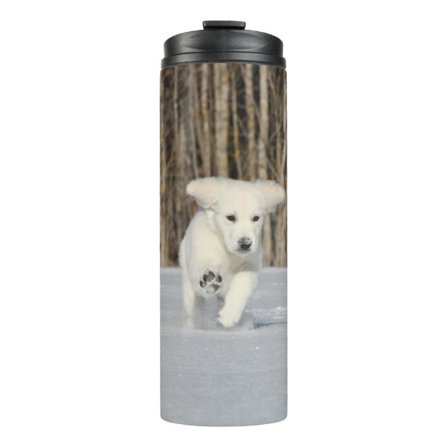 White Golden Retriever Puppy in Snow Thermal Tumbler (Front)