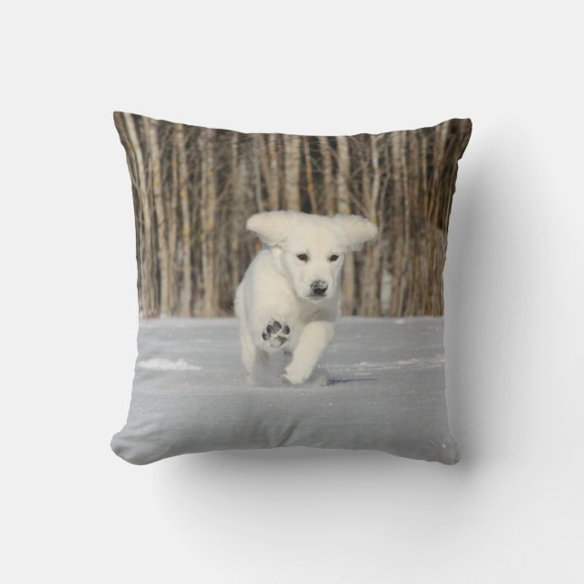 White Golden Retriever Puppy in Snow Throw Pillow (Front)