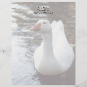 White Goose Letterhead