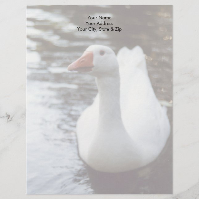 White Goose Letterhead (Front)