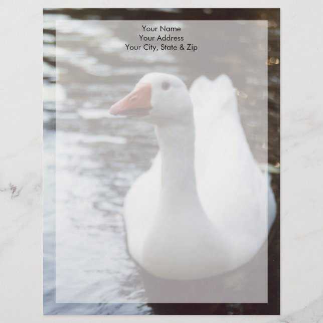 White Goose Letterhead (Front)