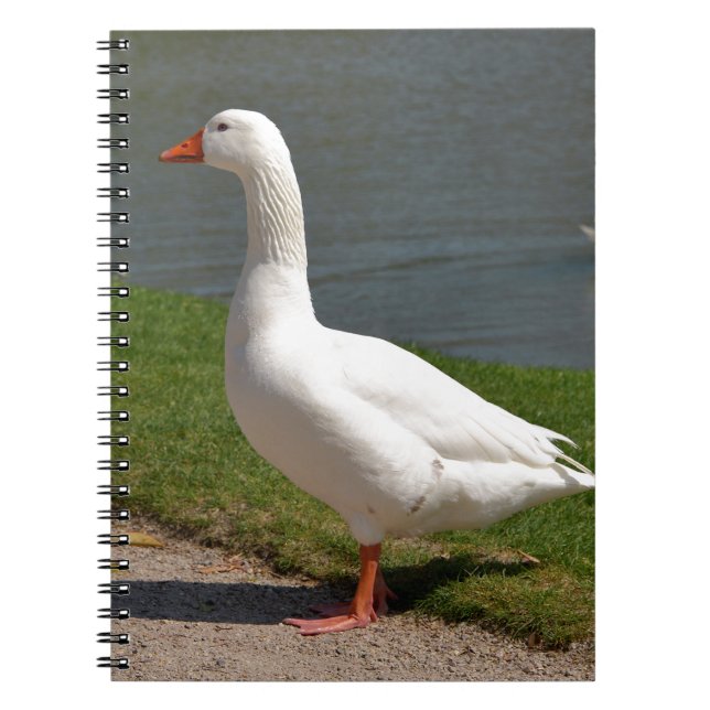 White goose near of pond notebook (Front)