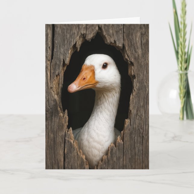 White Goose Peeking From Jagged Wood Hole Card (Front)
