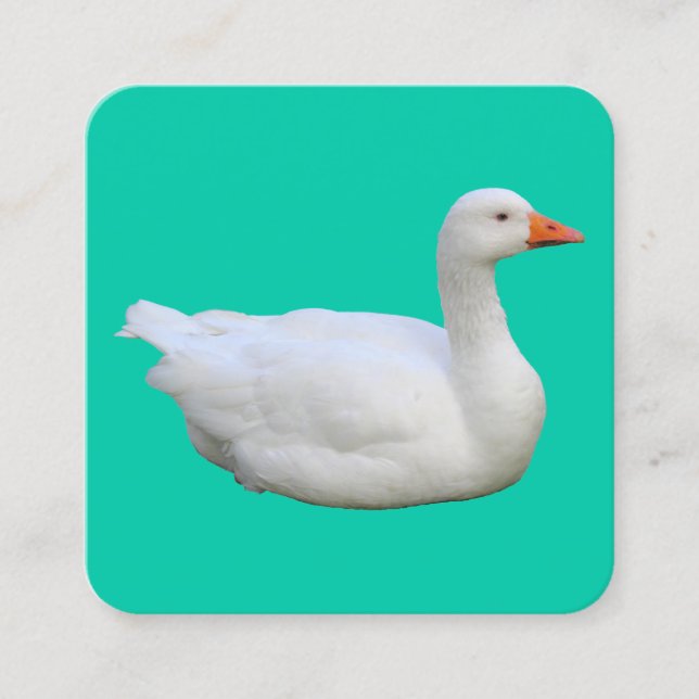 White Goose Square Business Card (Front)