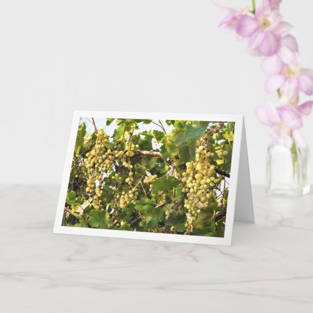 White Grape Vine on Fence Card (Orchid)
