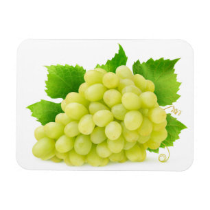 White grapes magnet