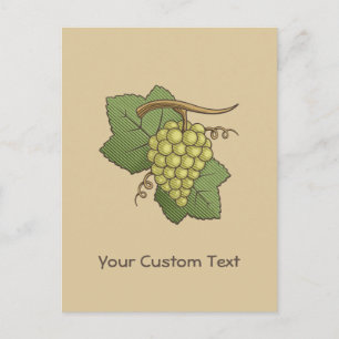 White Grapes Postcard