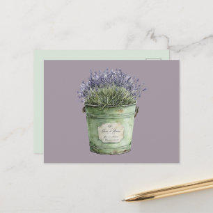 White Green Bucket Lavender Flowers Postcard