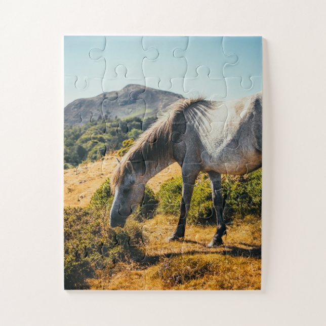 White & Grey Horse Grazing with Sun Shining Down Jigsaw Puzzle (Vertical)