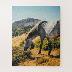 White & Grey Horse Grazing with Sun Shining Down Jigsaw Puzzle
