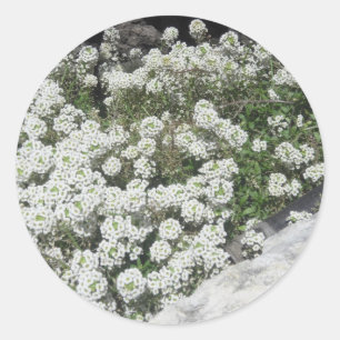 White Ground Cover Sticker