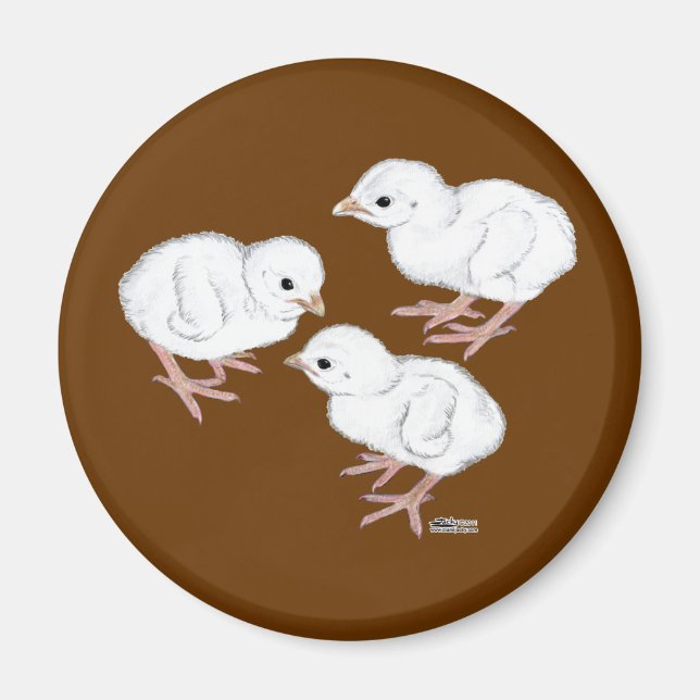 White Guinea Keets Magnet (Front)