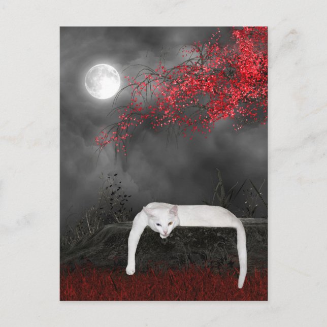 White Halloween cat Postcard (Front)