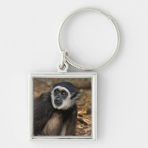 White-Handed Gibbon (Hylobates Lar), Monkeyland Keychain