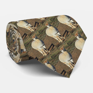 White Happy Big Woolly Alpaca, Neck Tie