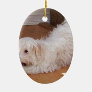 White Havanese Puppy Playing with Red Ball Ceramic Ornament