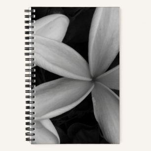 White Hawaiian Flowers Photo Spiral Notebook
