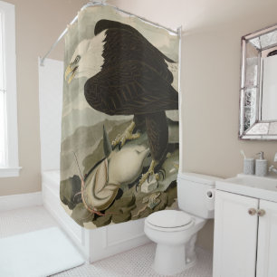 White-headed (Bald Eagle) Audubon Birds of America