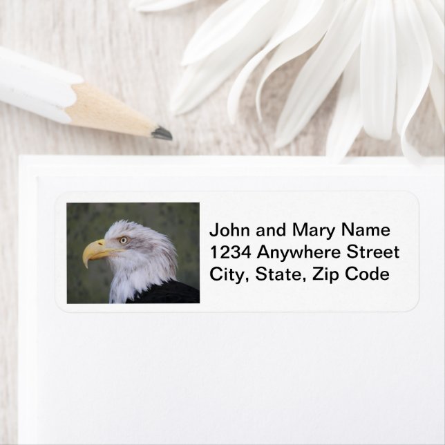 White Headed Bald Eagle Return Address (Insitu)