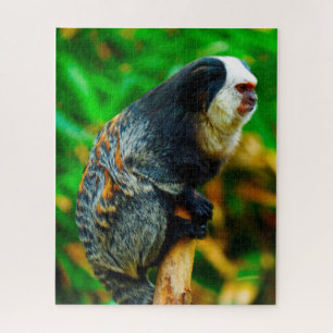 White Headed Marmoset. Jigsaw Puzzle