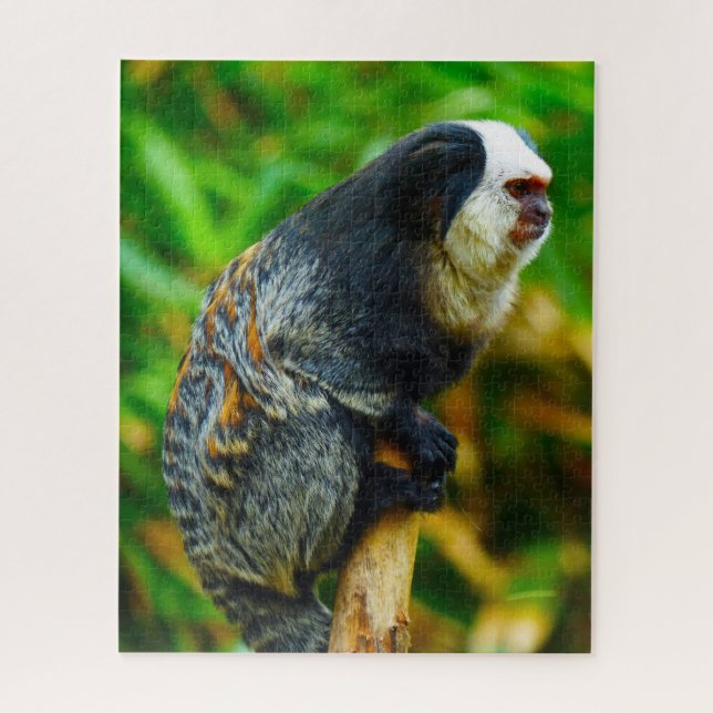 White Headed Marmoset. Jigsaw Puzzle (Vertical)
