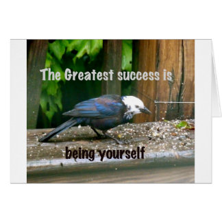 white-headed starling