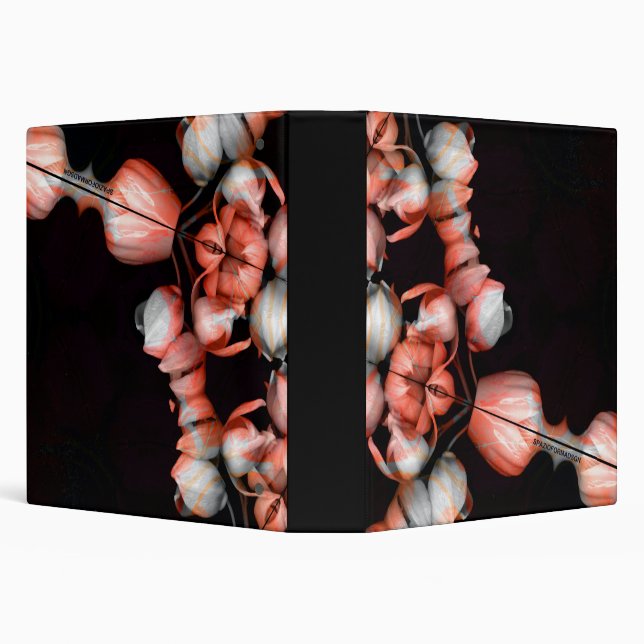 "White heart in black from sun" Binder (Background)