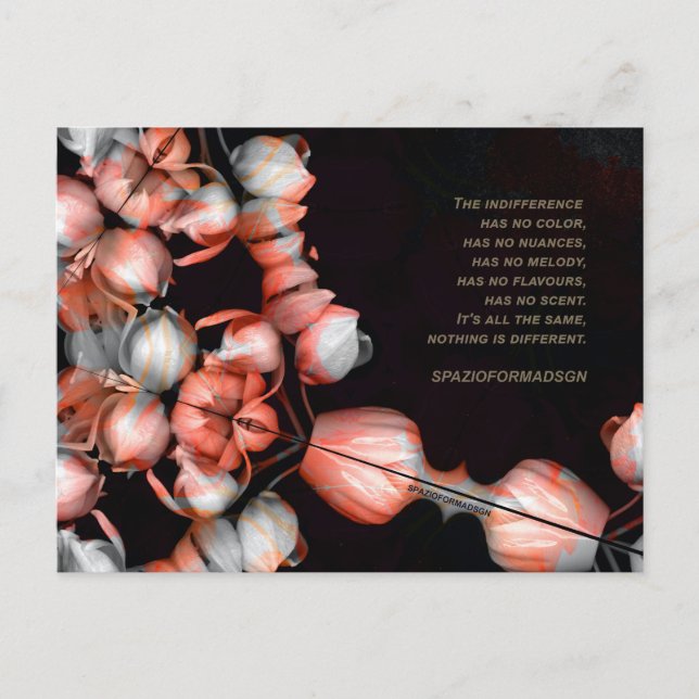 "White heart in black from sun" & Indifference Postcard (Front)