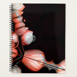 "White heart in black from sun" Planner