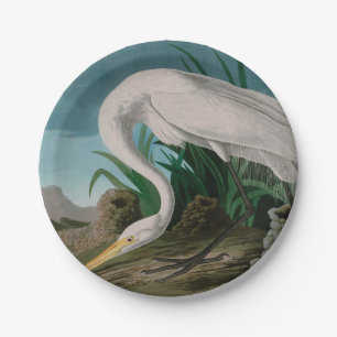 White Heron Birds of America Audubon Print Paper Plate