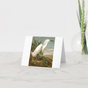 White Heron by John James Audubon Thank You Card