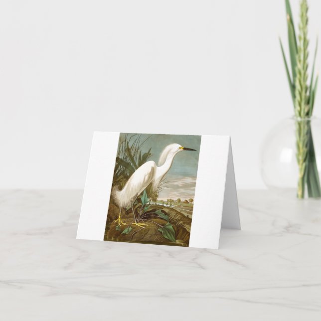 White Heron by John James Audubon Thank You Card (Front)